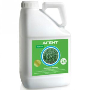 Агент