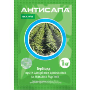 Антисапа