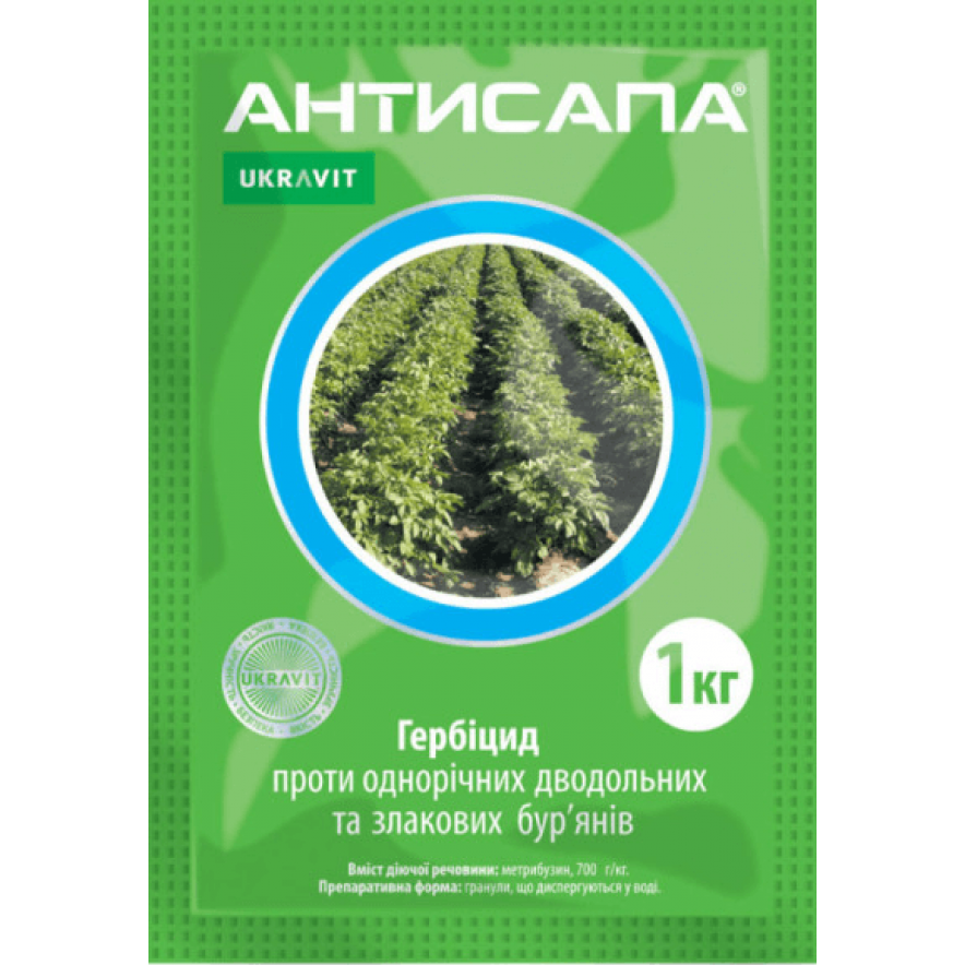 Антисапа