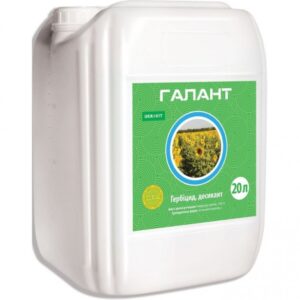 Галант