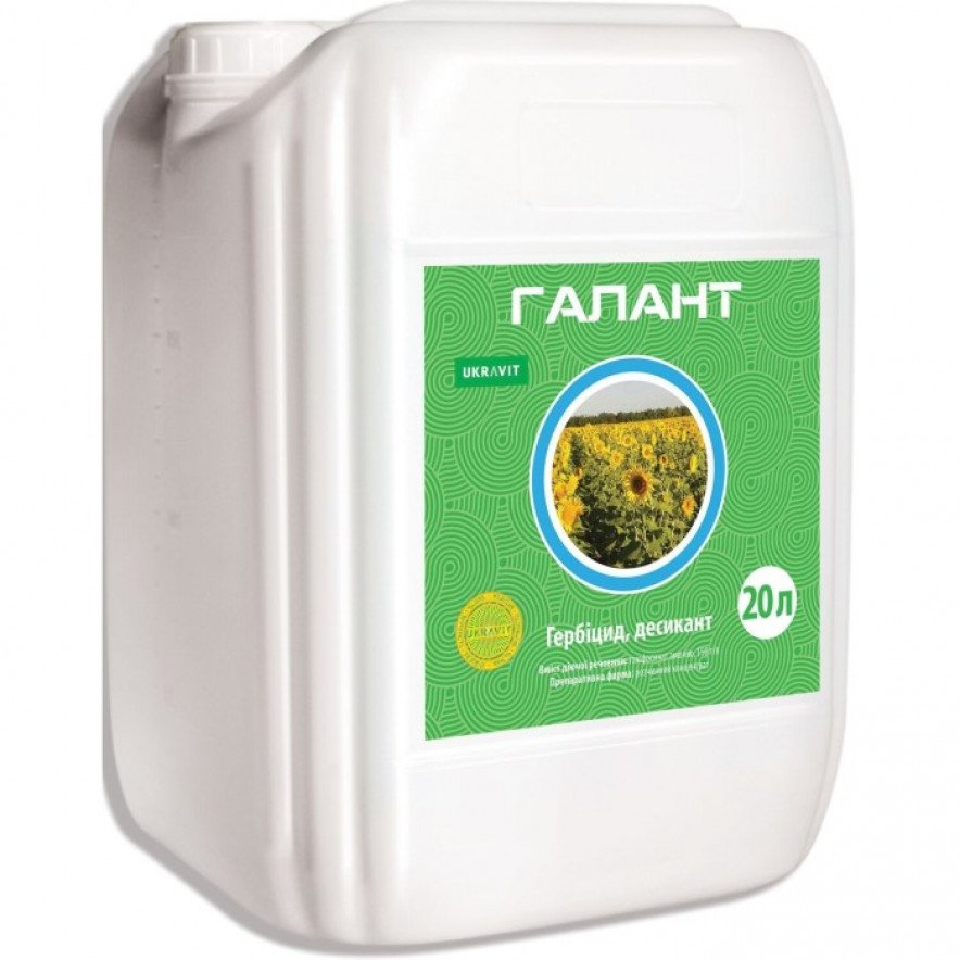 Галант