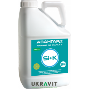Авангард Кремній Біо марки В