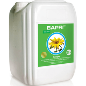 Варяг