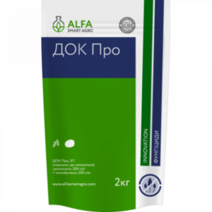 Док Про