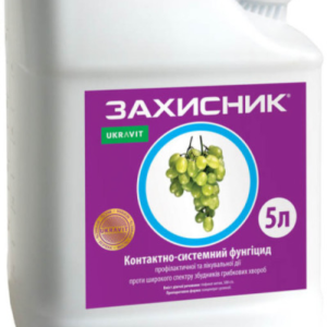 Захисник