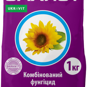 Захист