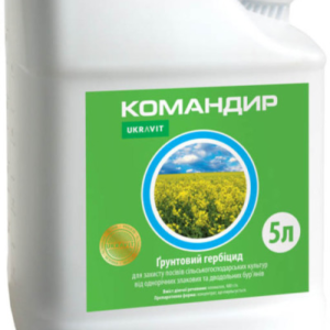 Командир
