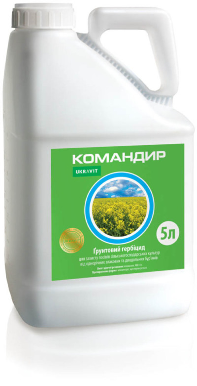 Командир