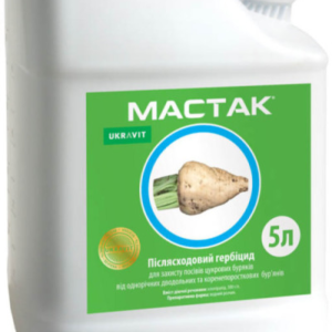 Мастак