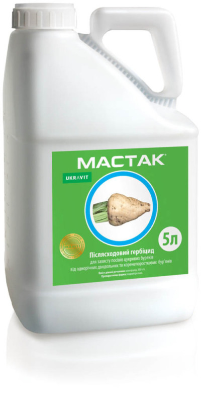 Мастак