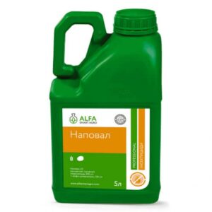 Наповал