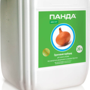 Панда