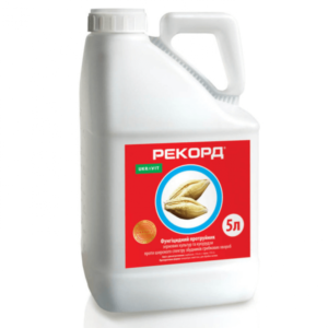 Рекорд