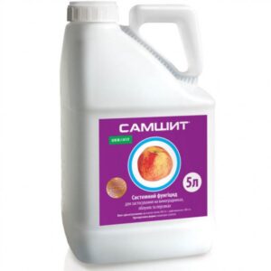Самшит