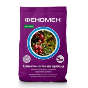 Феномен