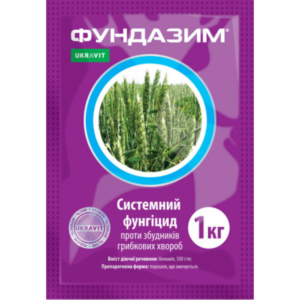 Фундазим