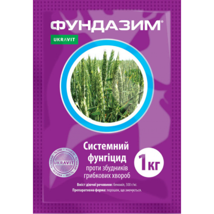 Фундазим