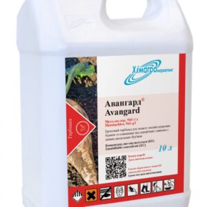 Авангард