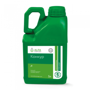 Конкур