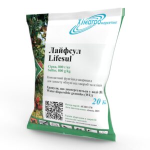 Лайфсул
